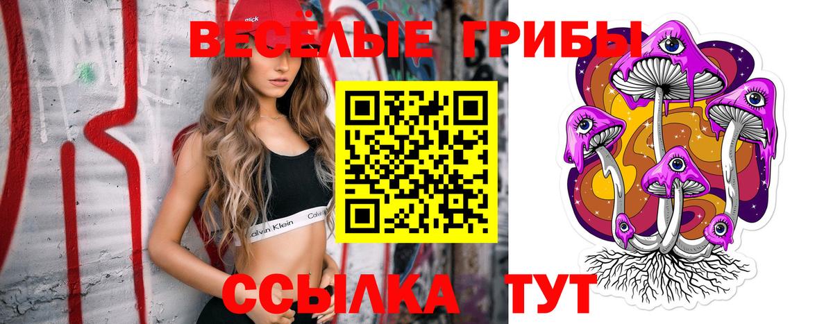 Псилоцибиновые грибы GOLDEN TEACHER  Вход с VPN  Коммунар  Галлюциногенные грибы MAGIC MUSHROOMS 